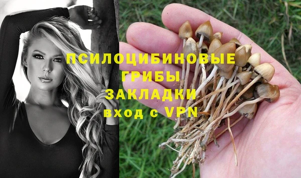 спайс Зерноград