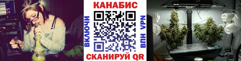 Купить закладки  Дубовка  Канабис Amnesia 